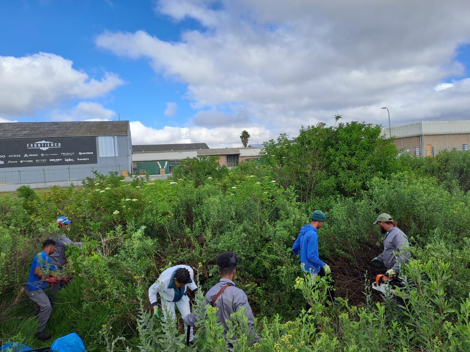 Clearing Alien vegetation along the Meulen River in George.